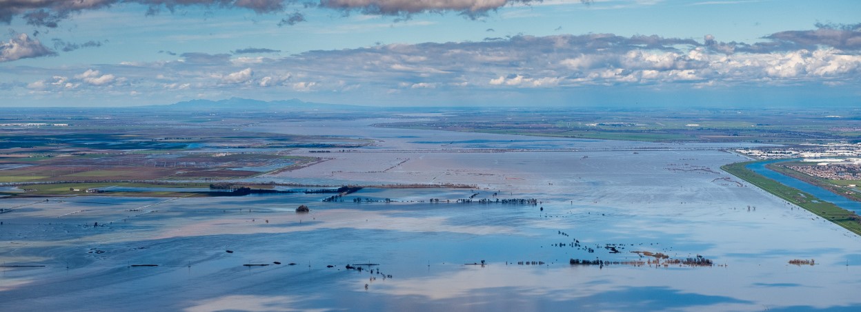 the Yolo Bypass floodplain inundated with water - only tree tops above the water line